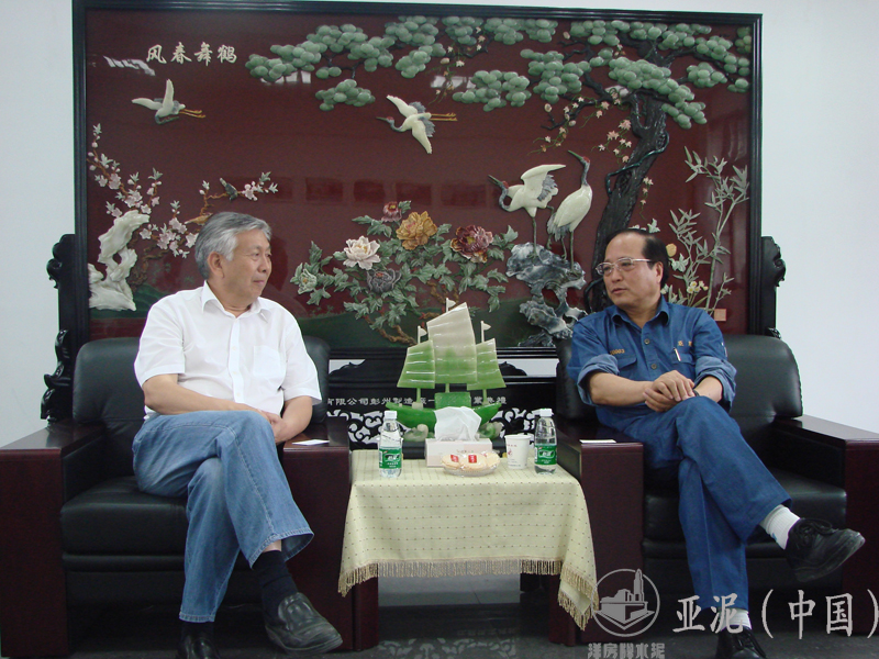 2008年6月21日，中國水泥協會會長雷前治視察四川亞東