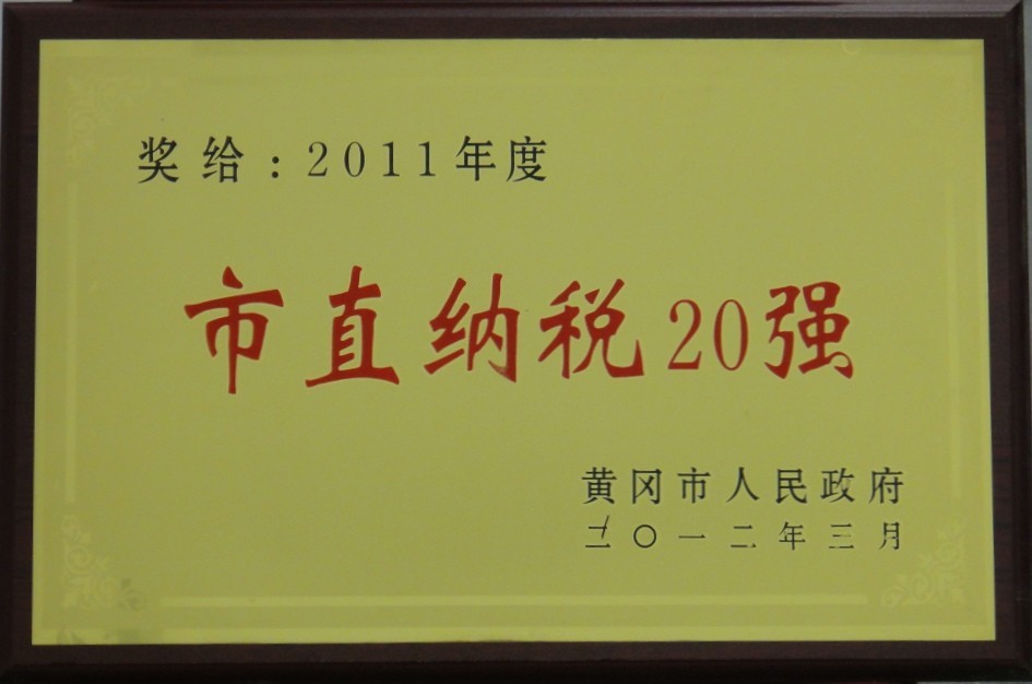 2011年市直納稅20強（黃岡亞東）