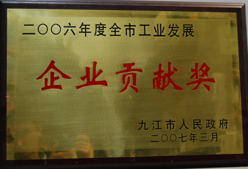 全市企業(yè)貢獻(xiàn)獎（江西亞東）