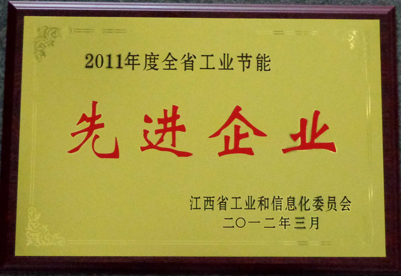 全省工業(yè)節(jié)能先進(jìn)企業(yè)（江西亞東）