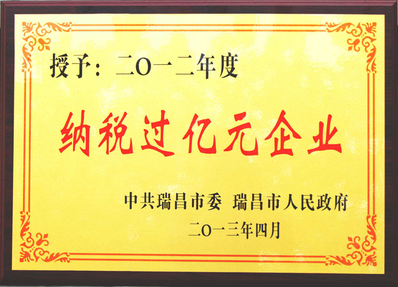 納稅過億元企業（江西亞東）