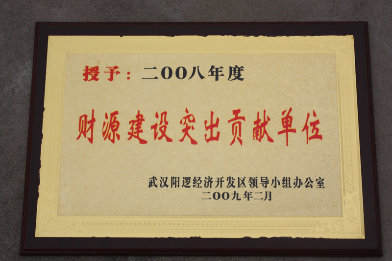 財源建設突出貢獻單位（湖北亞東）