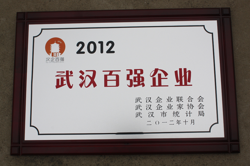 武漢百強企業（湖北亞東）