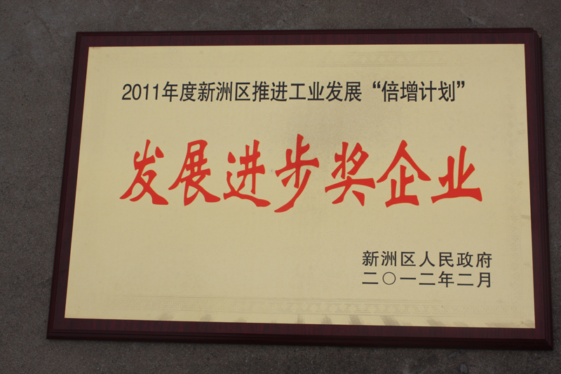 發展進步獎企業（湖北亞東）