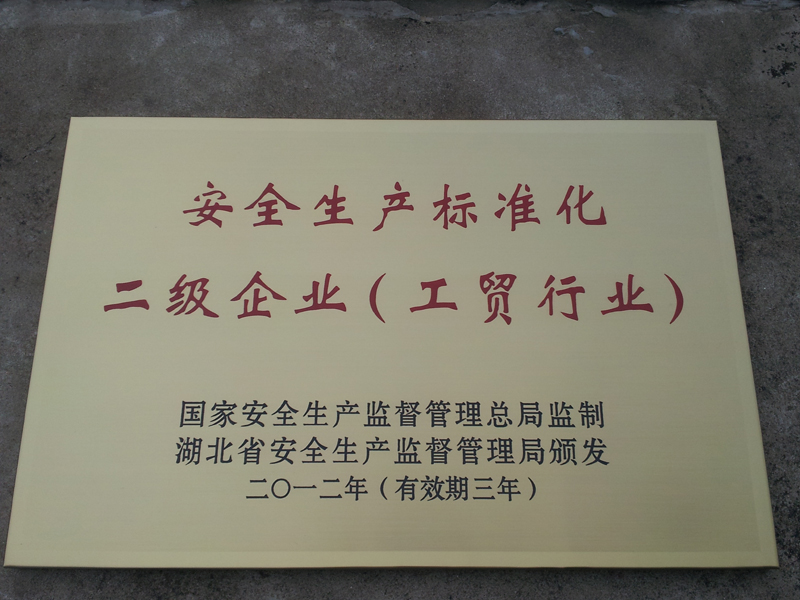 安全生產標準化二級企業（湖北亞東）