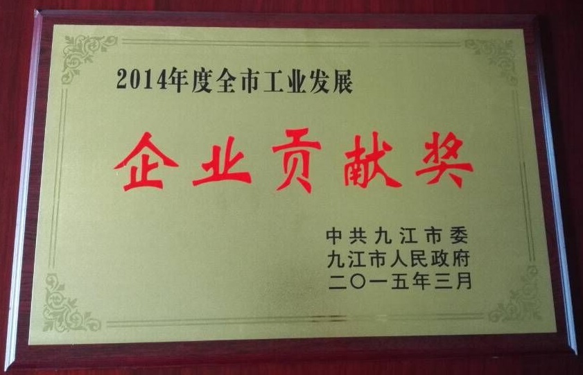 九江市企業貢獻獎（江西亞東）