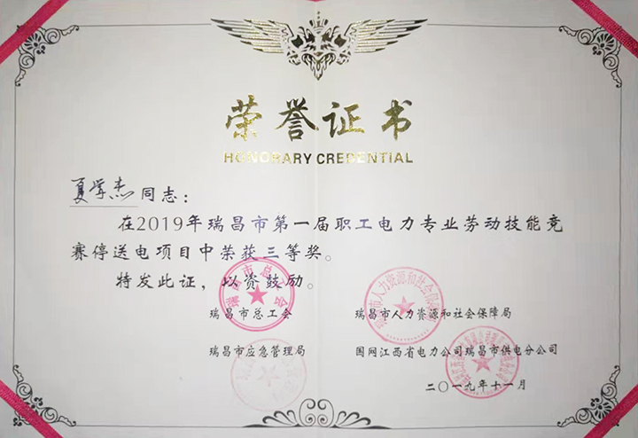 電力專業勞動技能競賽“個人三等獎”（江西亞東）