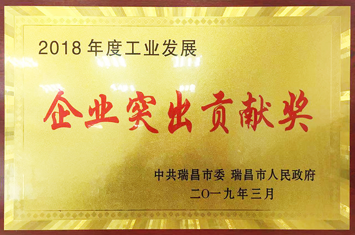 企業突出貢獻獎（江西亞東）