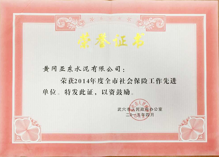 武穴市社會保險工作先進單位（黃岡亞東）