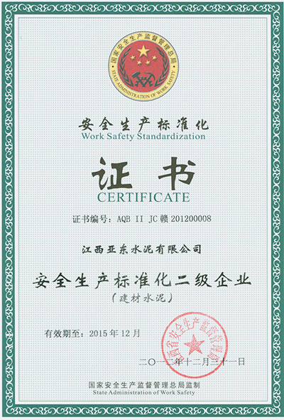 安全生產標準化二級企業（江西亞東）
