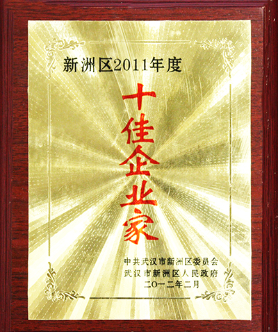 2011年度十佳企業(yè)家（湖北亞東）