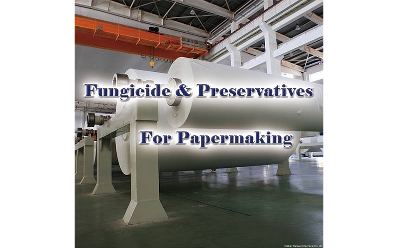 Papermaking industry